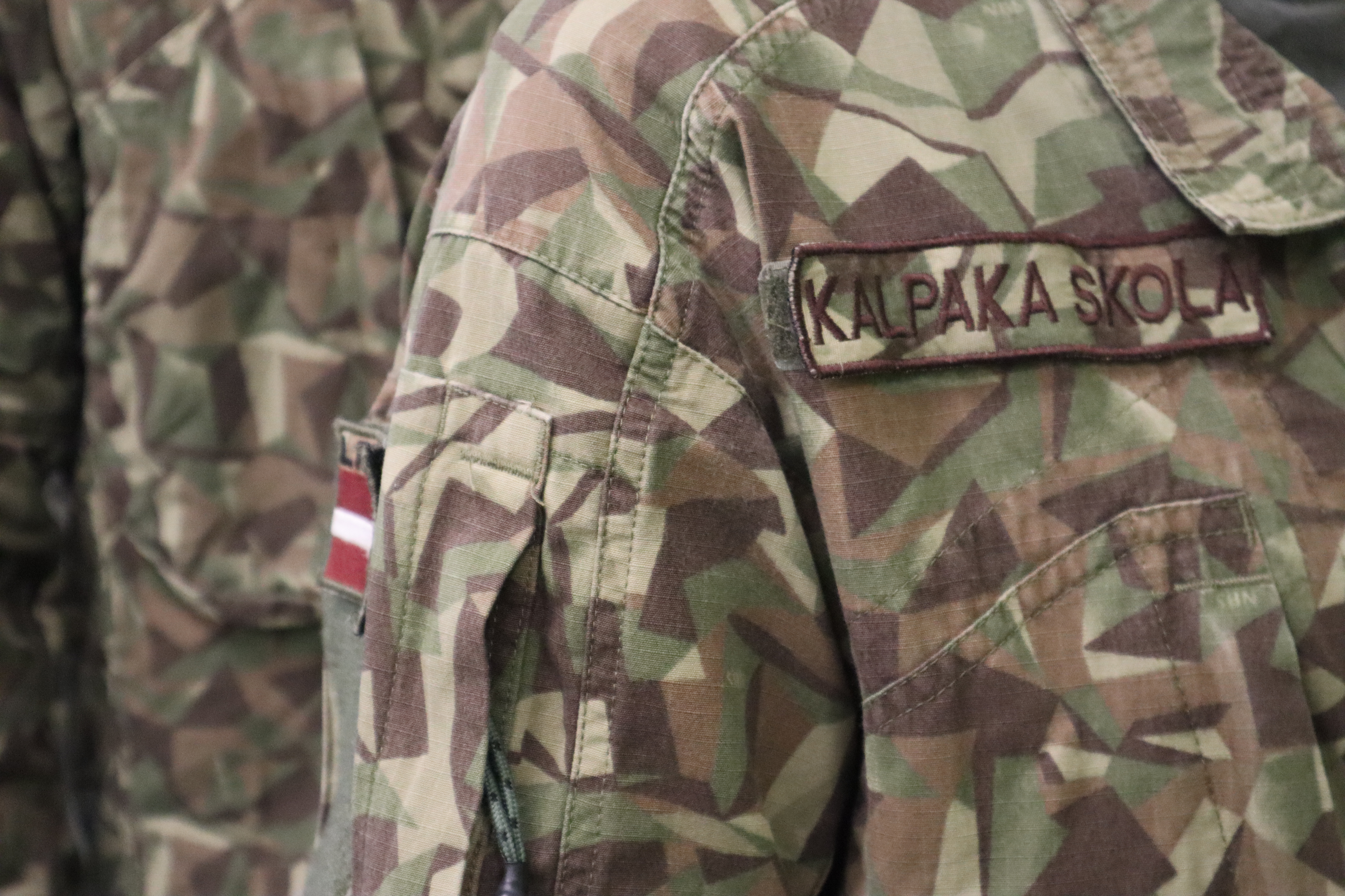 Kalpaka skola